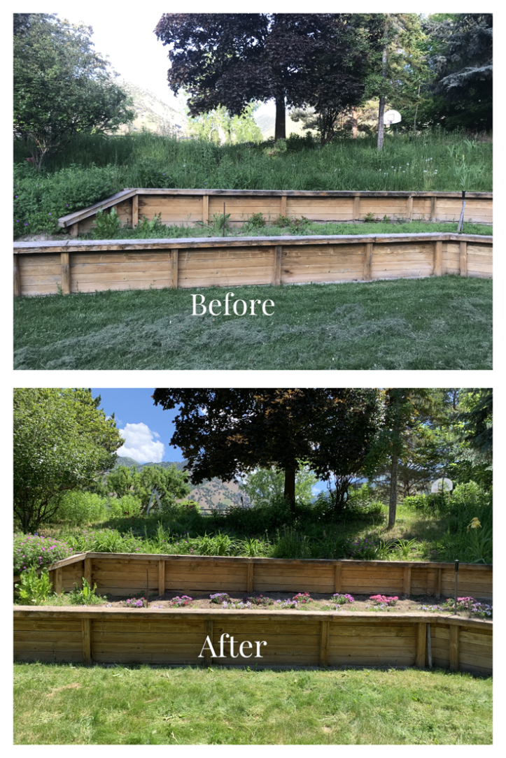 Before and after planting flowers in a landscaped yard in redwood flower box retaining wall